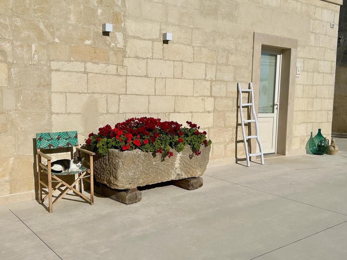 Masseria Spiga กราวีนา อิน ปูเลีย ภายนอก รูปภาพ