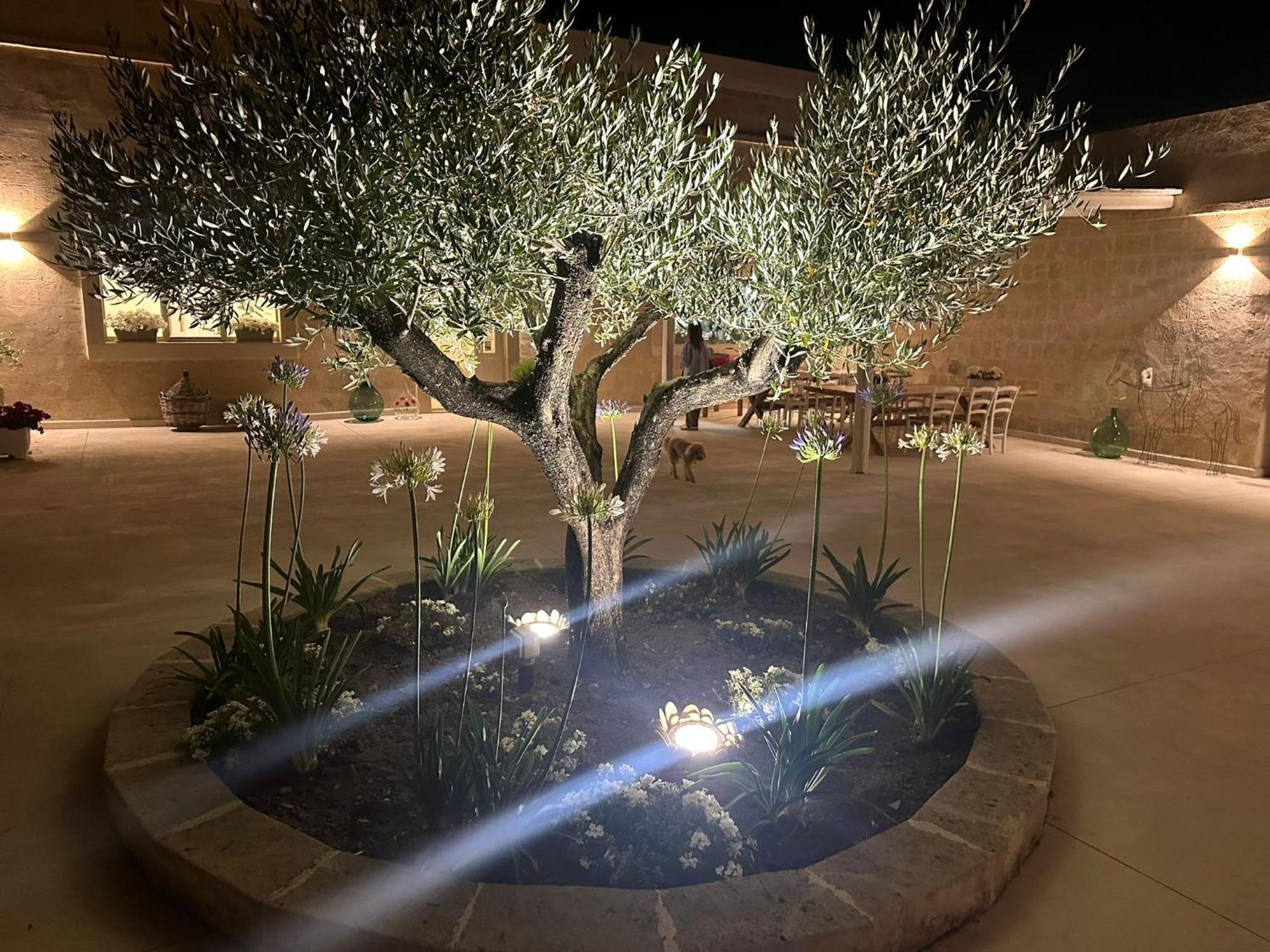 Masseria Spiga กราวีนา อิน ปูเลีย ภายนอก รูปภาพ