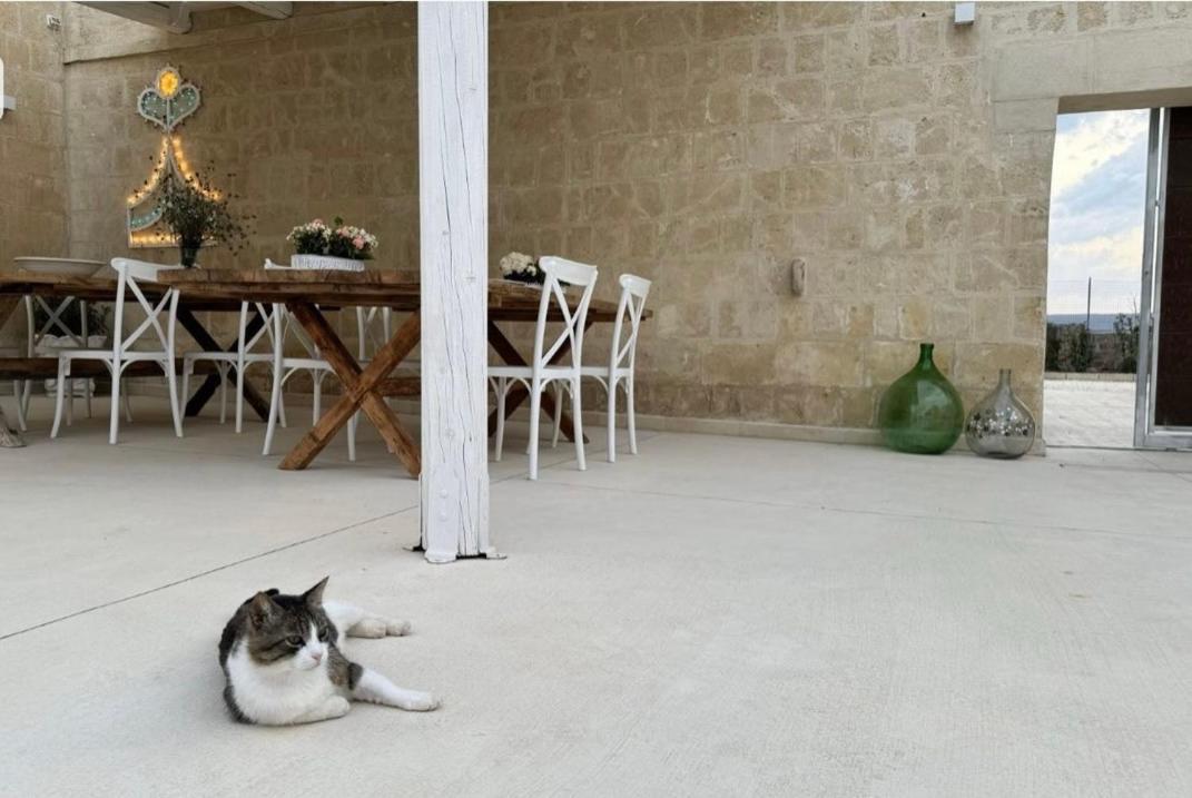 Masseria Spiga กราวีนา อิน ปูเลีย ภายนอก รูปภาพ